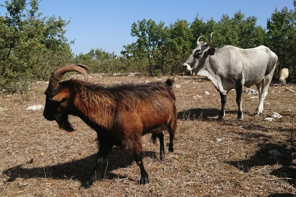 Thomas Kaupert_Tenuta Tedone Consolini_Ruvo di Puglia_review