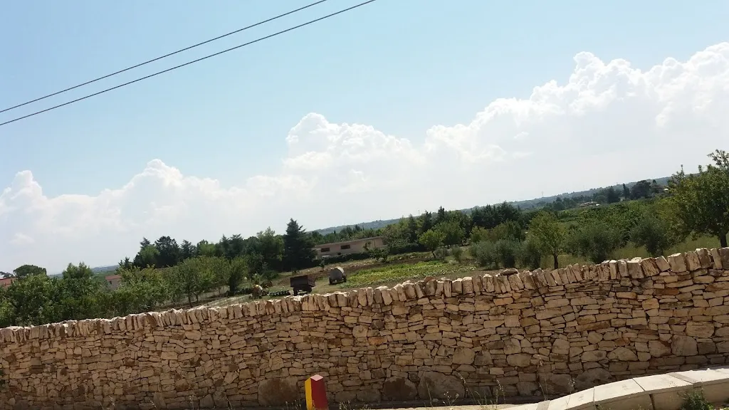 Bar - Pizzeria Stazione_Ruvo di Puglia_slider_image_3