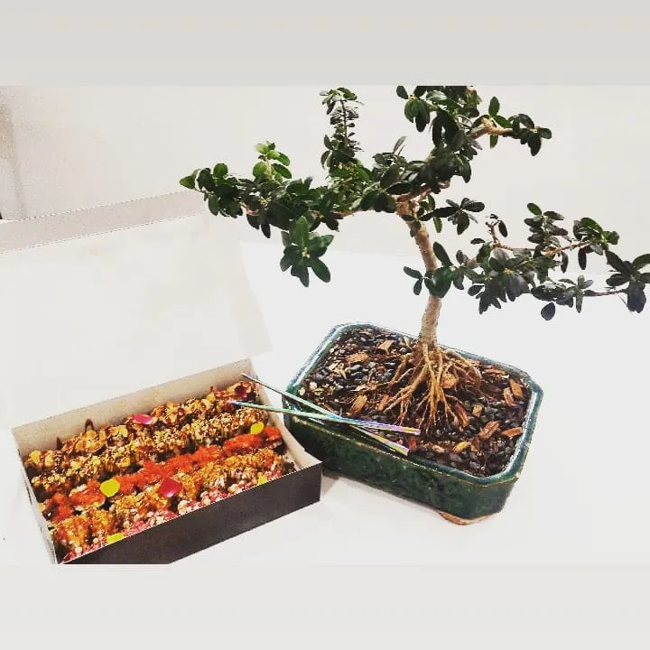 Menu_TEMPTATION - Food Vibes Only_Cepagatti_image_7