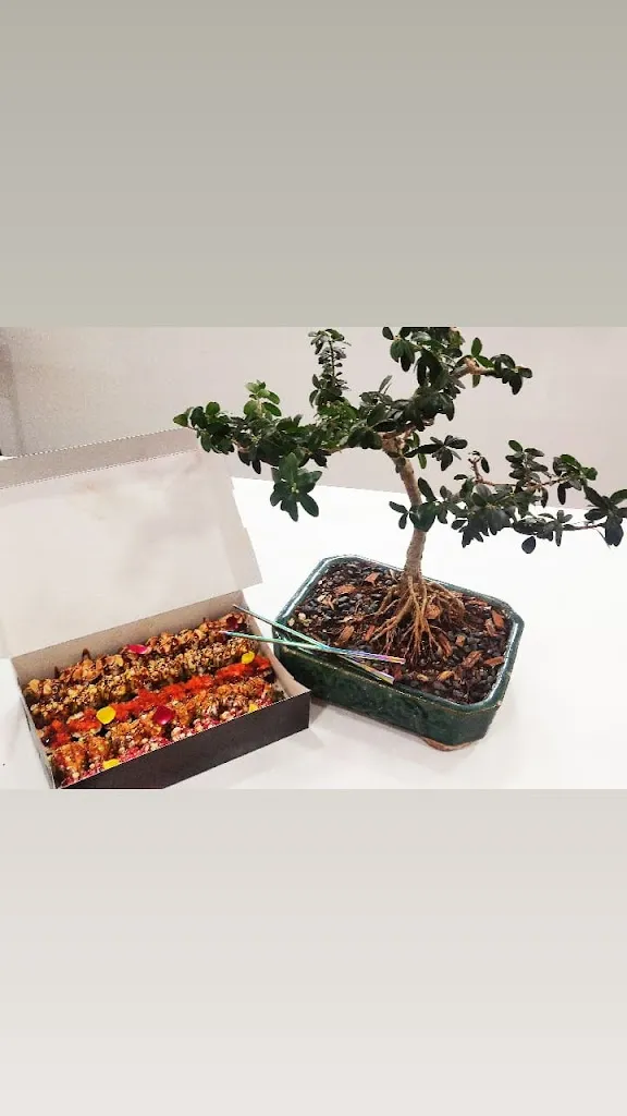 TEMPTATION - Food Vibes Only_Cepagatti_slider_image_3