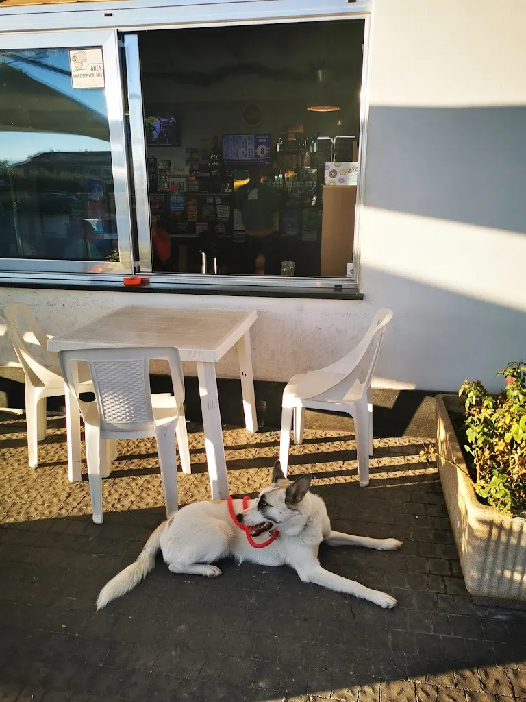 Bar Via Dante restaurant in Cepagatti