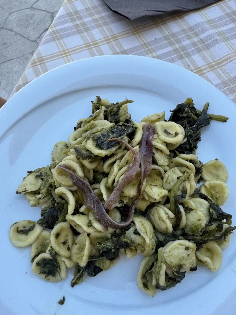 Luca Cimatti_La Rosa dei Venti_Sannicandro Garganico_review