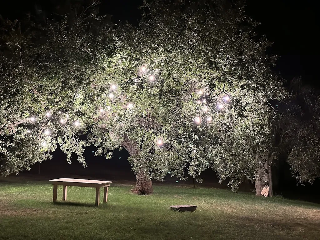 Agriturismo Tenuta De Luca_Sannicandro Garganico_slider_image_3