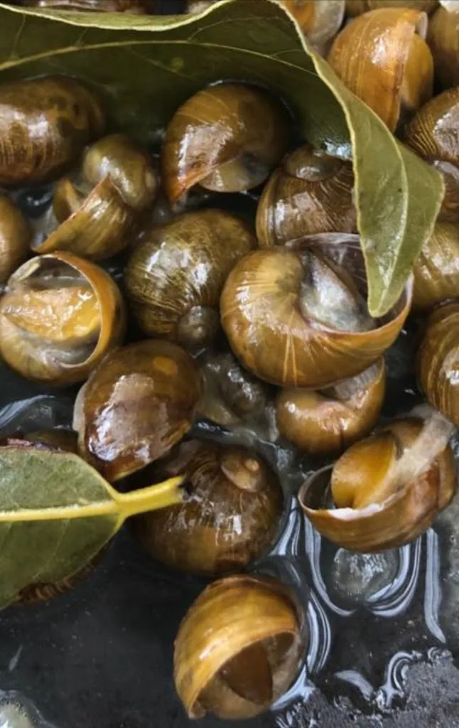 Menu_Elios Trattoria_Scorrano_image_7