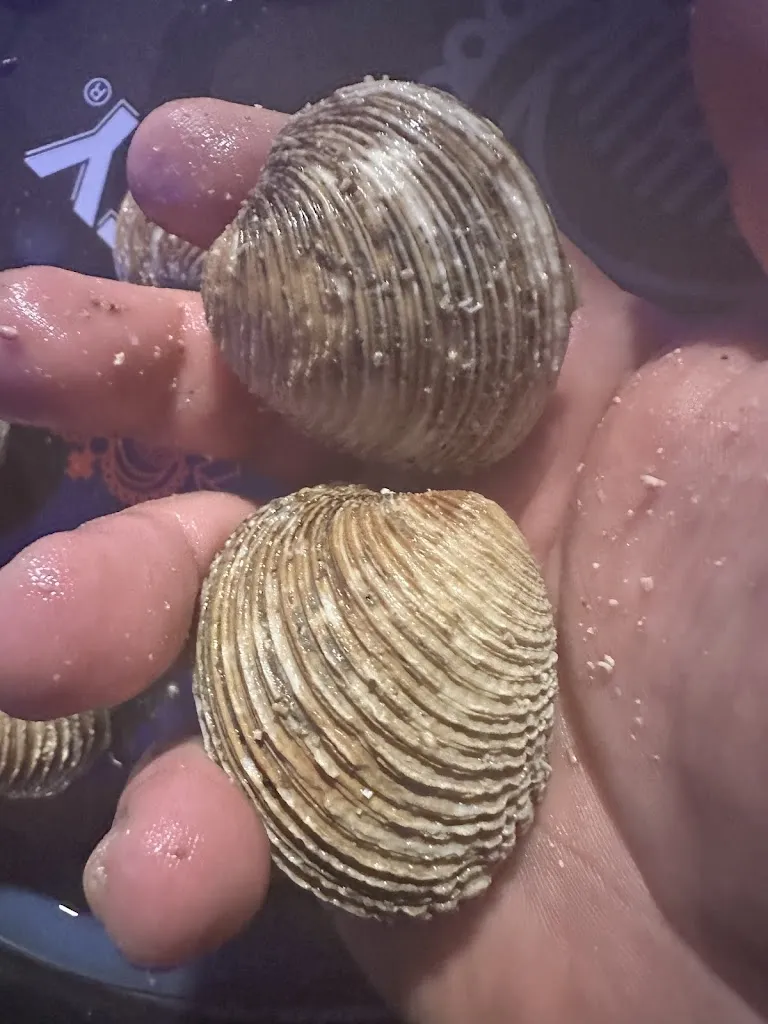 Menu_Onda fish & wine bar_San Severo_immagine_6