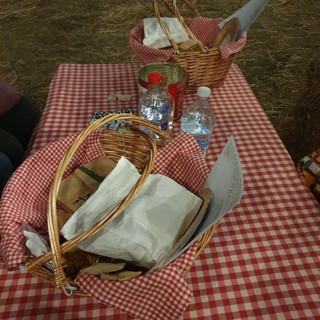 emiliana palmieri_In Campagna da Alfredo_San Severo_review