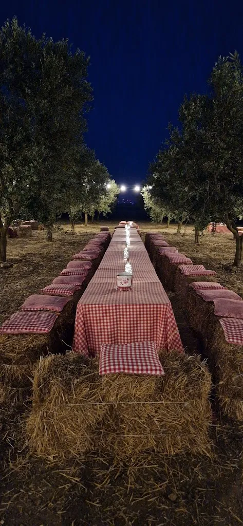 pietro santangelo_In Campagna da Alfredo_San Severo_review