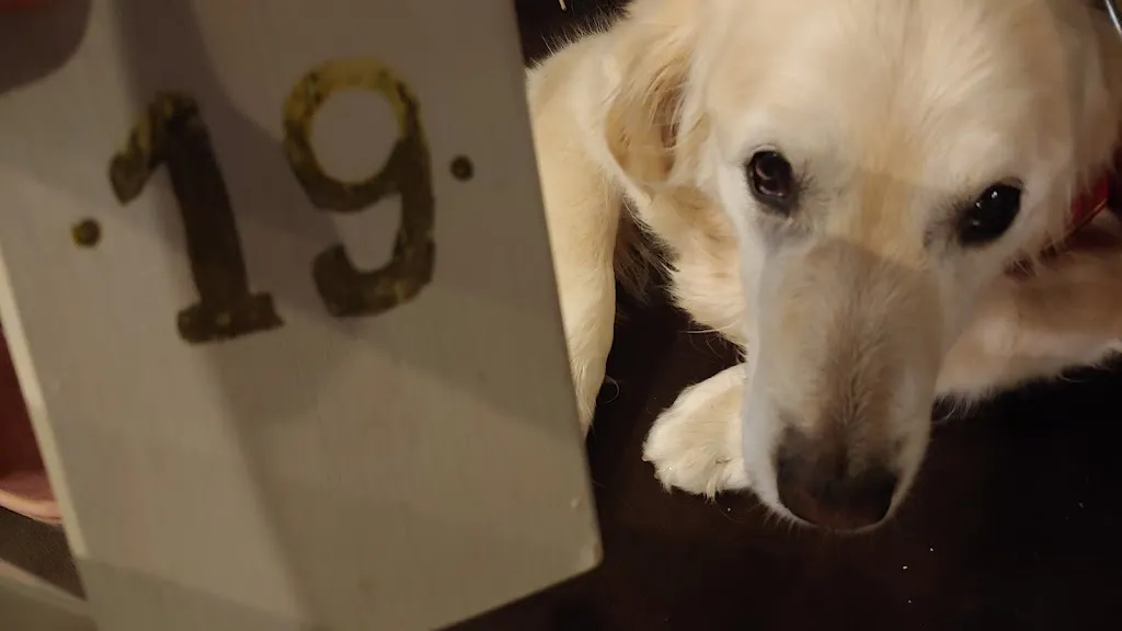 Giuseppe Califano_La Locanda del Presidente_Cerratina_review