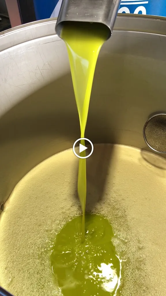 PASTA FRESCA DA CIRO ,GASTRONOMIA, POLLERIA,PIZZERIA E SERVIZIO CATERING_San Severo_slider_image_2