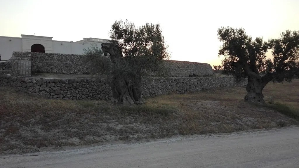 Angelo Giannotta_Azienda Agricola Amastuola ss_Statte_review