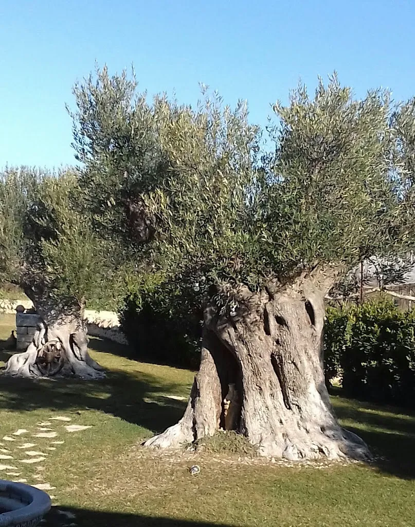 Agriturismo San Michele in Triglie_Statte_slider_image_3