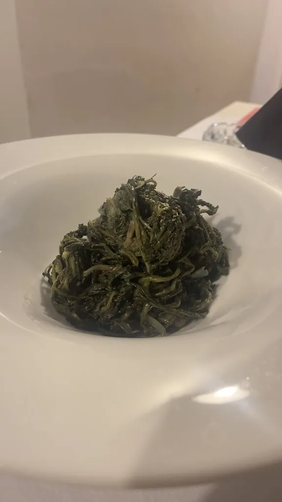 Claudia Giannotta_Agriturismo MIRODIA_Sternatia_review