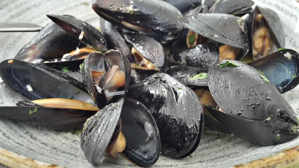 Menu_Da Michele_Santeramo in Colle_immagine_3