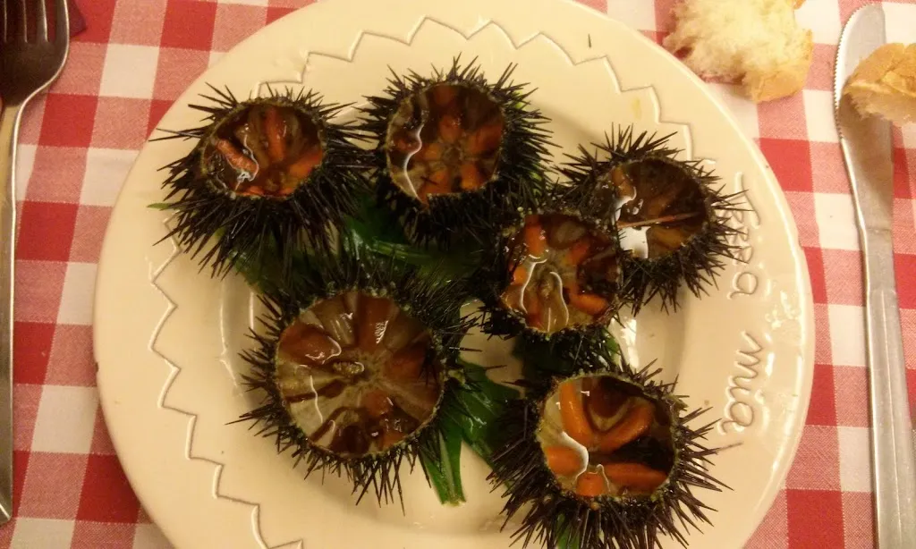 Menu_Pizzeria Terra Mia_Terlizzi_immagine_5