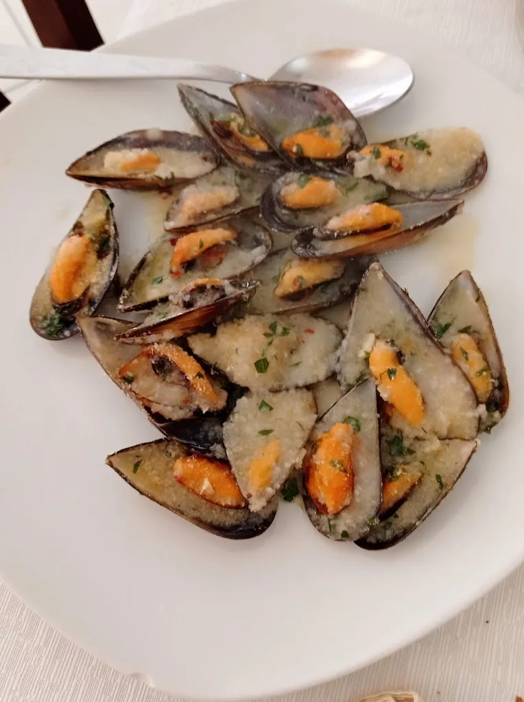 Sir Michele_Torremaggiore_slider_image_1