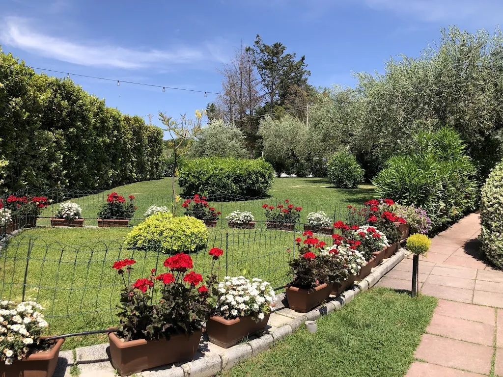 Elena S_Da Margherita_Città Sant'Angelo_recensione