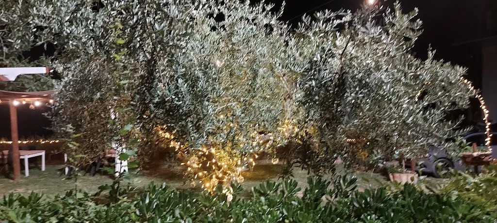 Marco Griffa_Agriturismo Starinieri_Città Sant'Angelo_review