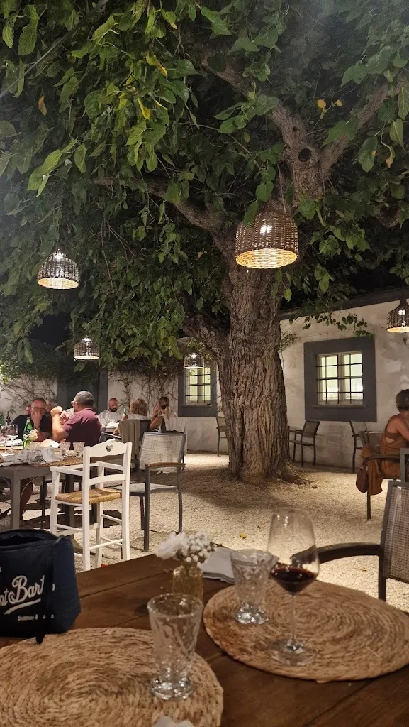 La Casa del Gelso Ristorante - Country House_Città Sant'Angelo_slider_image_3