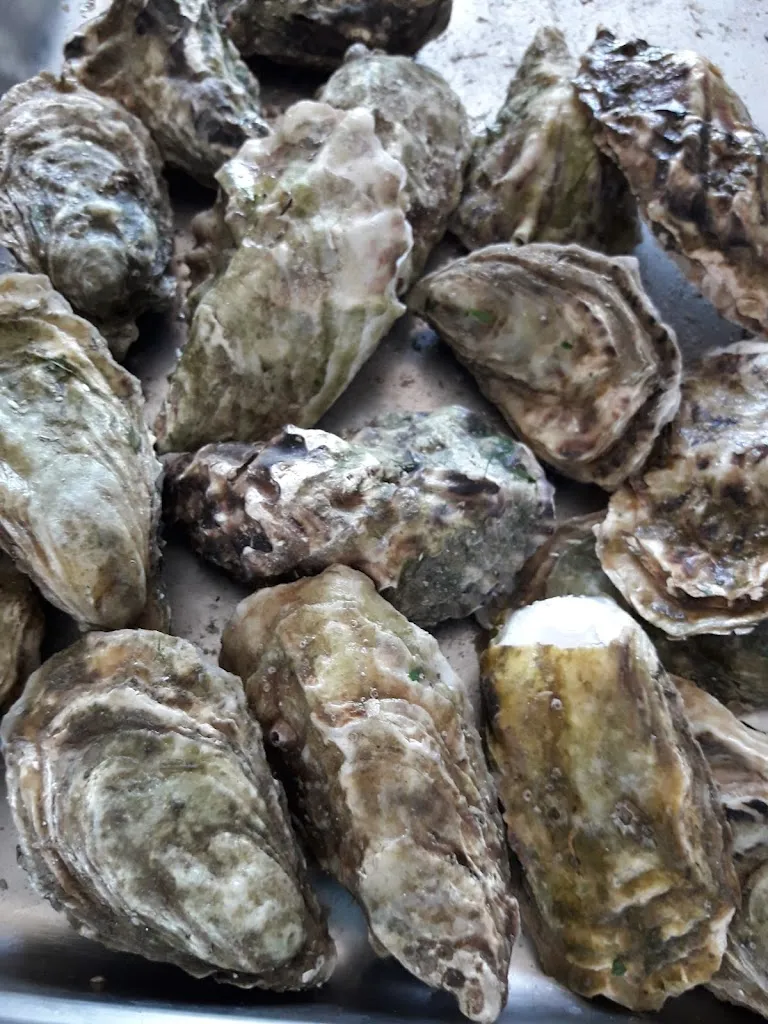 Menu_Villa Bianca_Volturino_immagine_4