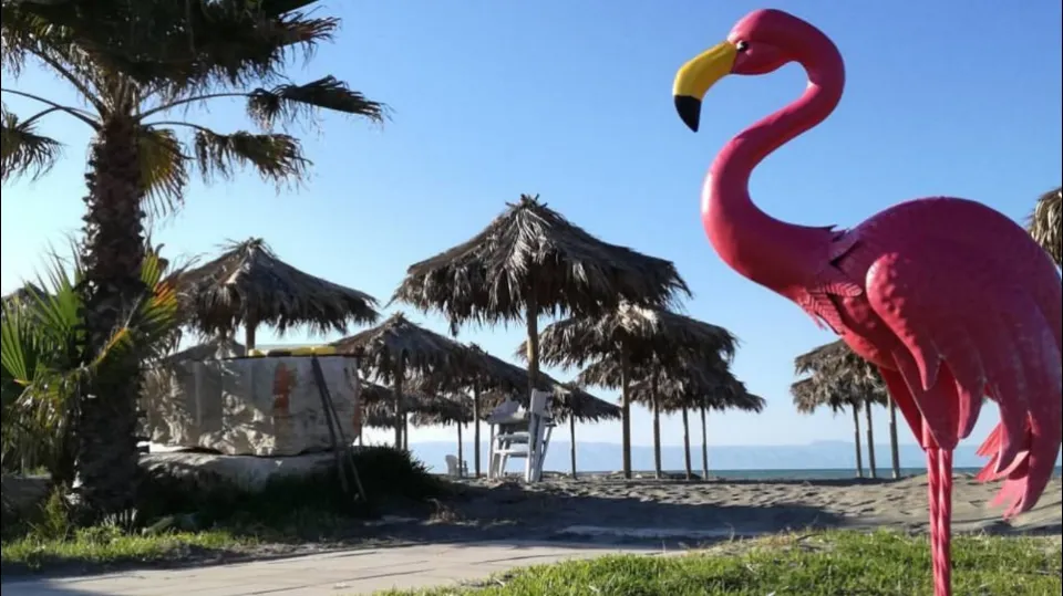 Il Fenicottero Rosa Beach Club restaurant in Zapponeta