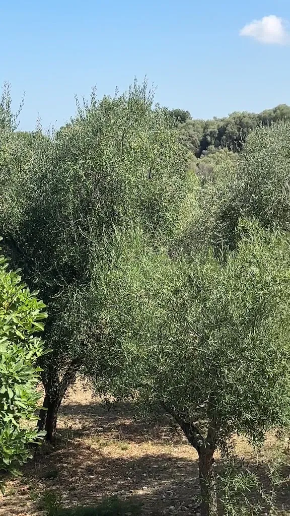 La Pignata Ristorante Pizzeria_Vico del Gargano_slider_image_2