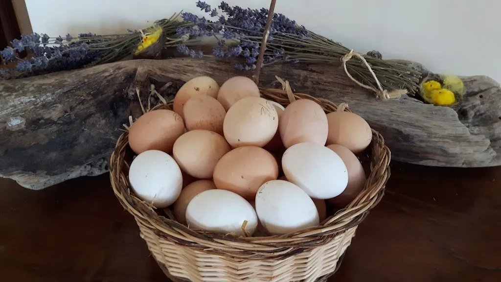 Menu_Azienda Agrituristica L'Arcadia_Città Sant'Angelo_image_7