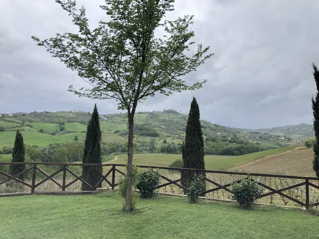 Mats Stridh_Azienda Agrituristica L'Arcadia_Città Sant'Angelo_review