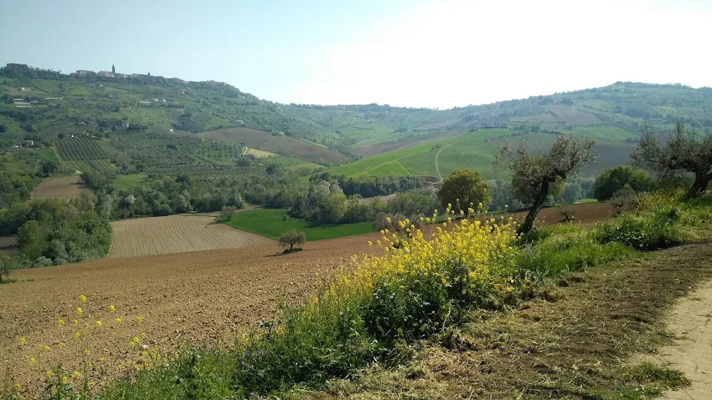 Azienda Agrituristica L'Arcadia_Città Sant'Angelo_slider_image_3