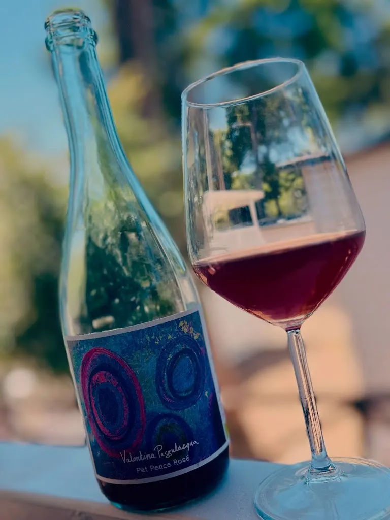 Giovanni Ferrillo_AMÀDO DI DEL VISCIO MATTEO_Vico del Gargano_recensione