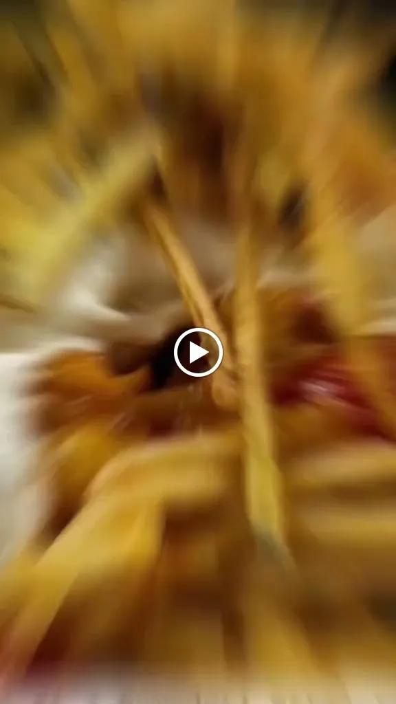 AMÀDO DI DEL VISCIO MATTEO_Vico del Gargano_slider_image_2