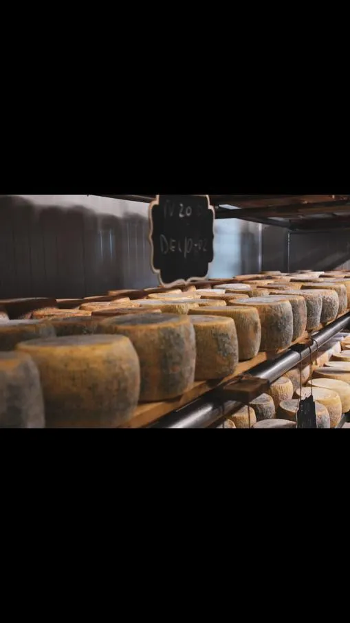 Menu_Terraferma_Minervino Murge_image_8