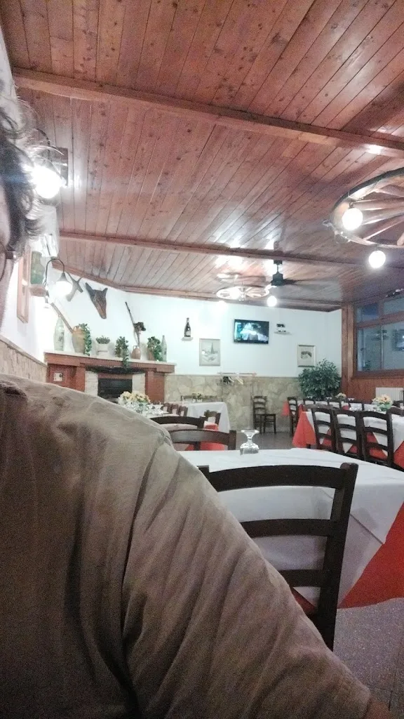 Massimiliano Landini_Trattoria Pizzeria Dirolla di Simeone pasquale_Spinazzola_review