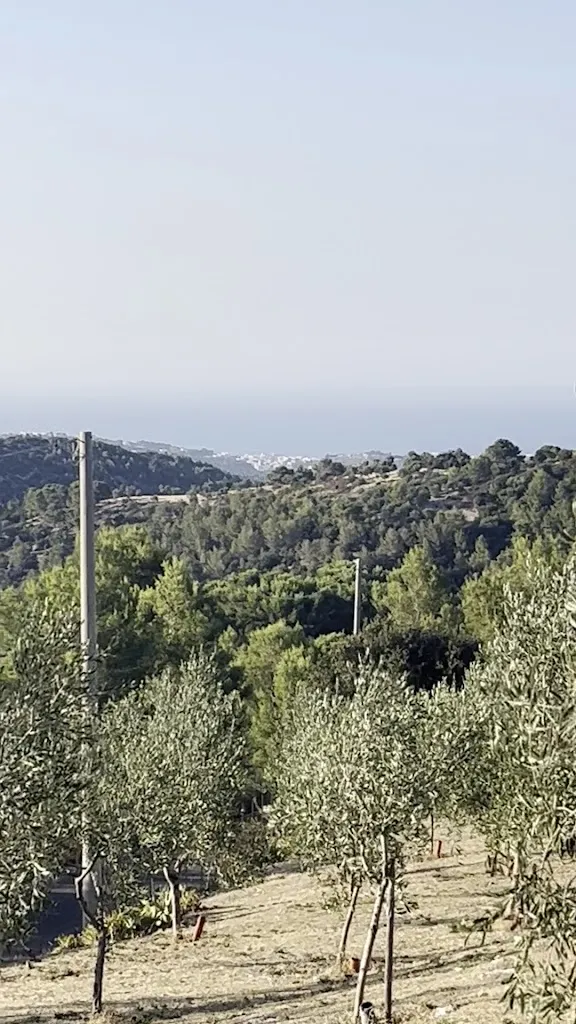 gerardo vargas_Masseria San Salvatore_Vieste_review