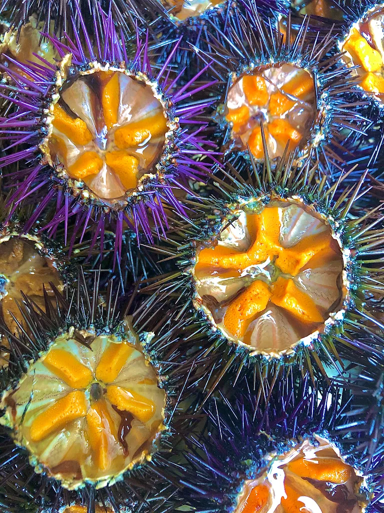 Menu_Ristorante La Ripa_Vieste_image_7