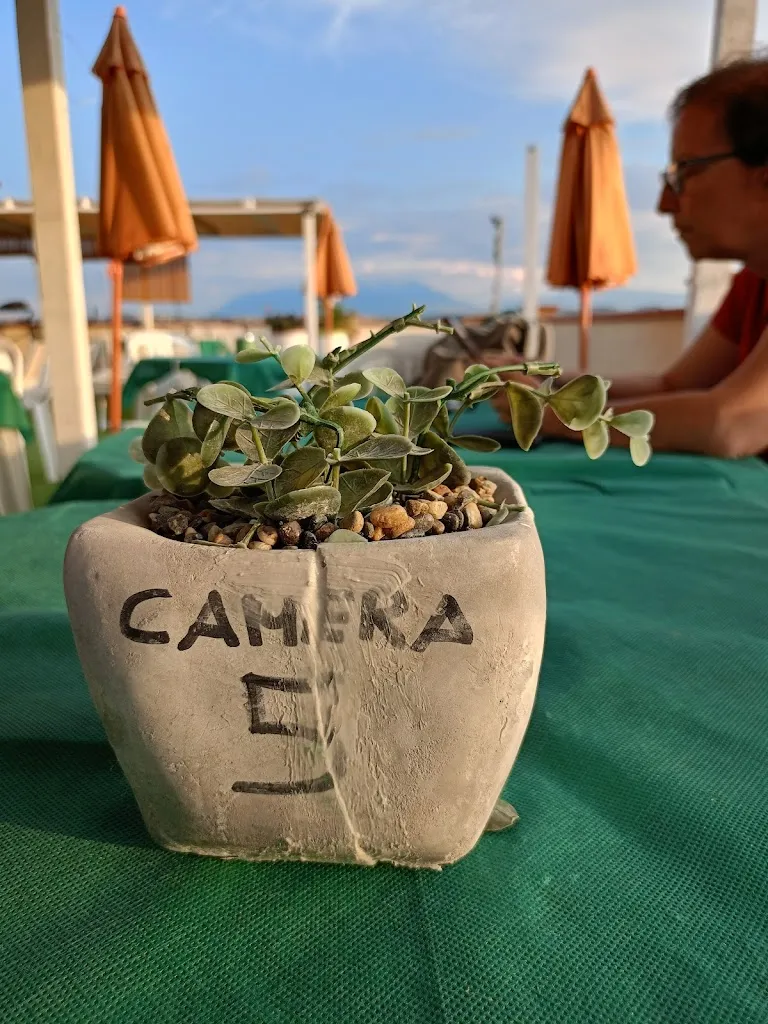 enzo “ARISTODEMO” indirli_Podere degli Asinelli - Ristorante, Piscina, b&b, Location Città Sant'Angelo _Città Sant'Angelo_review