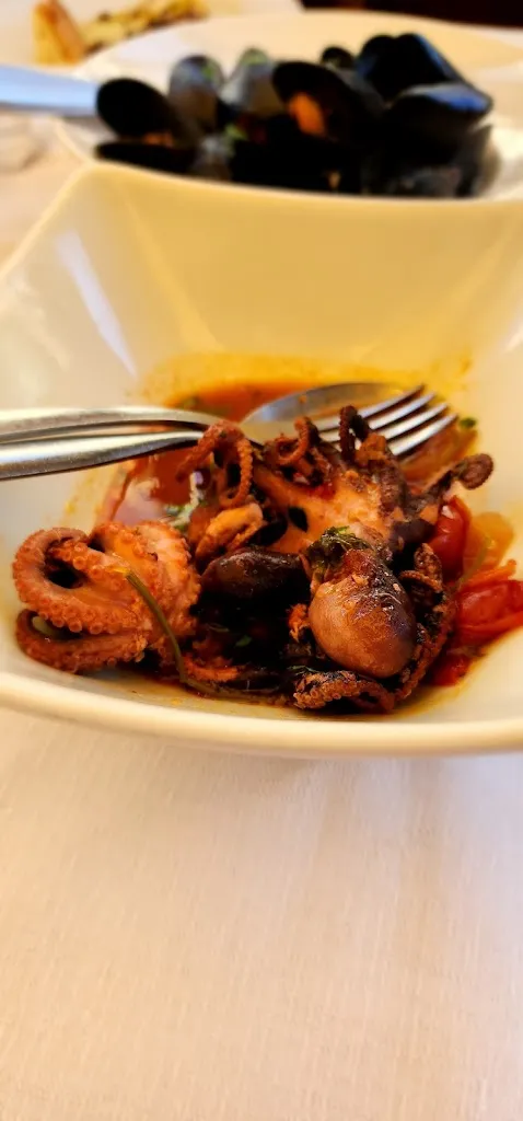 Junior Leoso_Box 19_Vieste_review