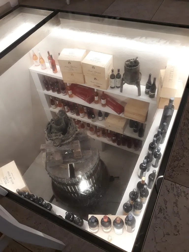 Anca Sirbu_Gustus_Vieste_review