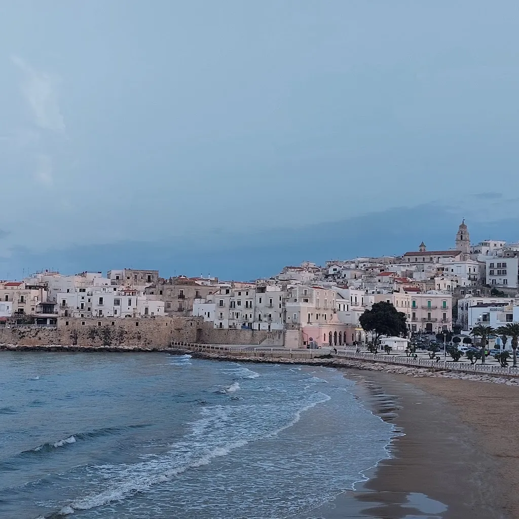 lino olivieri_Los Amigos_Vieste_review