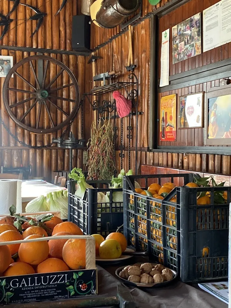 Lisa Buchegger_OasiGrill trattoria_Accettura_review