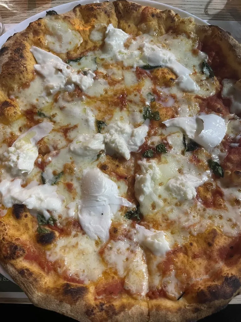 Elena Robles_Franklin_Trinitapoli_recensione