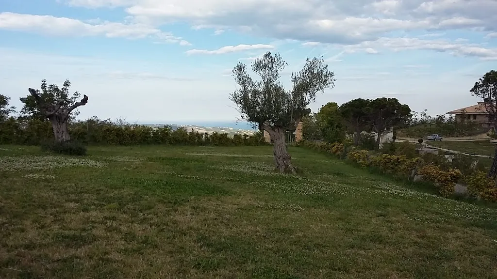 Mariano F._Colle Di Sale_Città Sant'Angelo_review