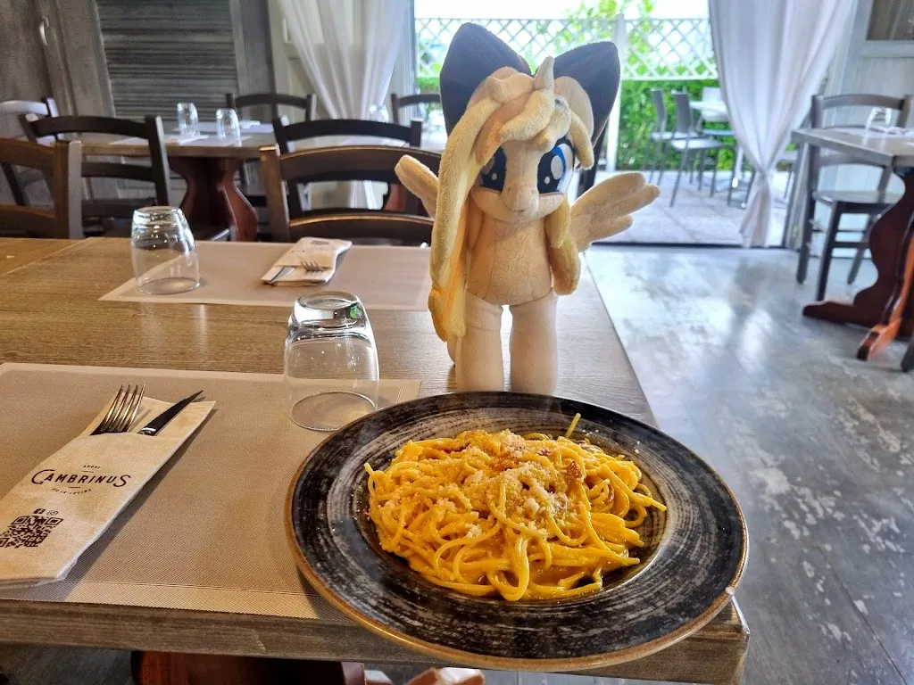 The Review Fillies_Gambrinus Ristorante Pizzeria Braceria_Città Sant'Angelo_review