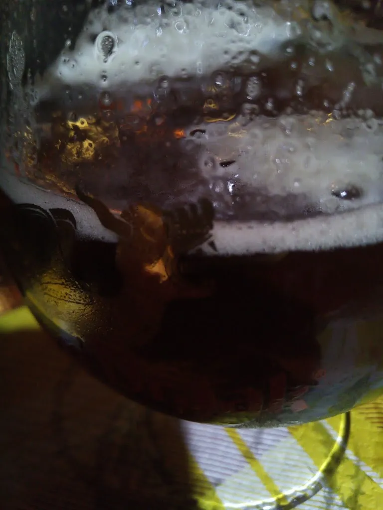 Menu_Birreria La Tana Dei Lupi_Avigliano_image_8