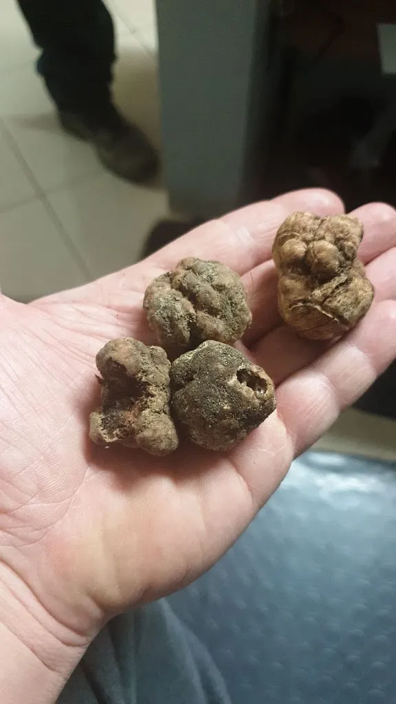 Menu_Pizzeria dal Pirata_Bernalda_image_7