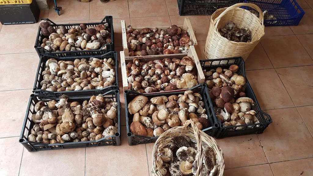 Menu_Il Mulino_Cirigliano_image_5