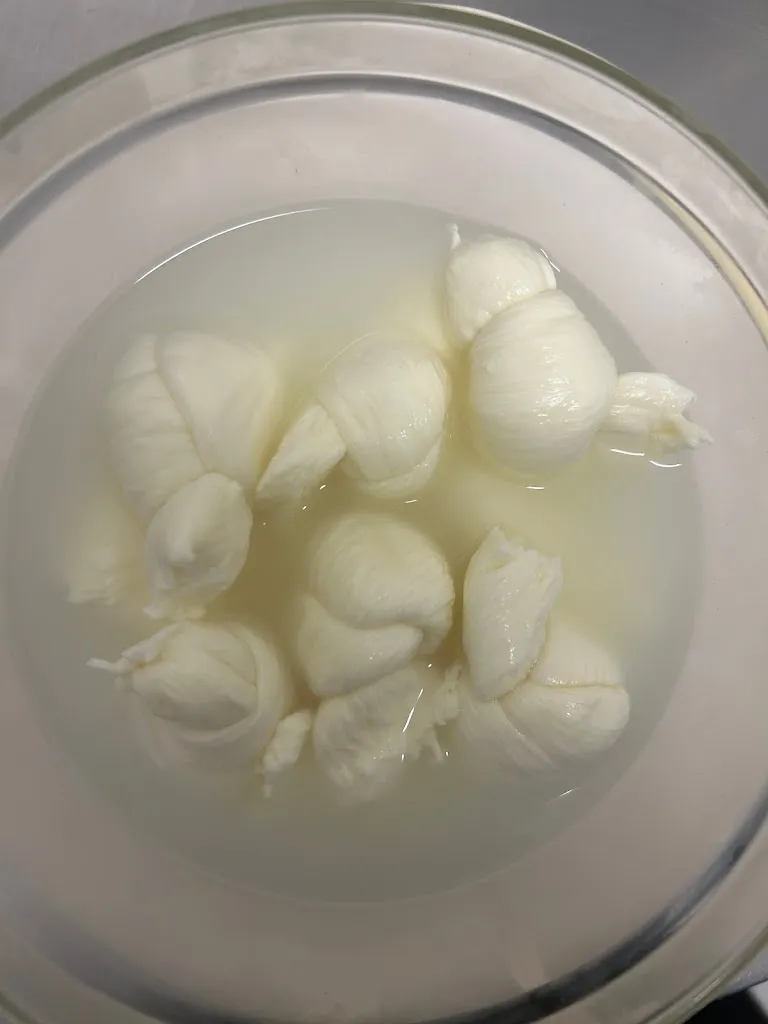 Menu_Monserrat_Castelmezzano_image_6