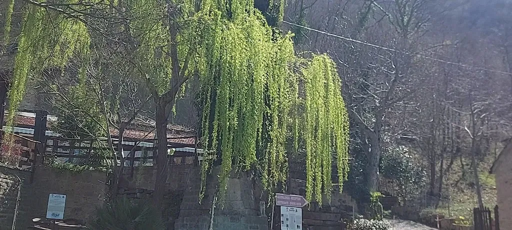 Ristorante La Grotta dell'Eremita_Castelmezzano_slider_image_2
