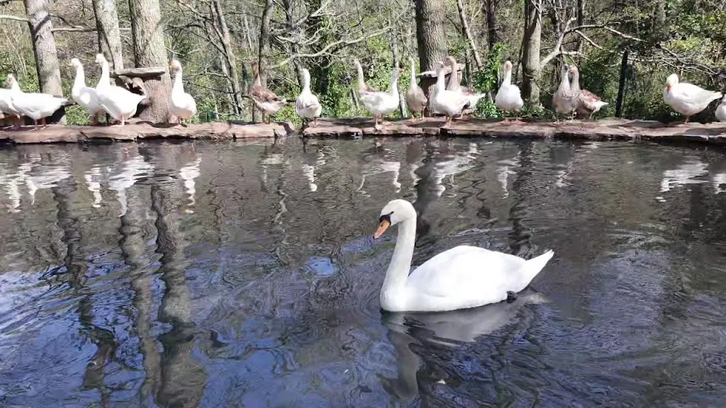Azienda Agrituristica La Fontana Del Tasso_Francavilla in Sinni_slider_image_2