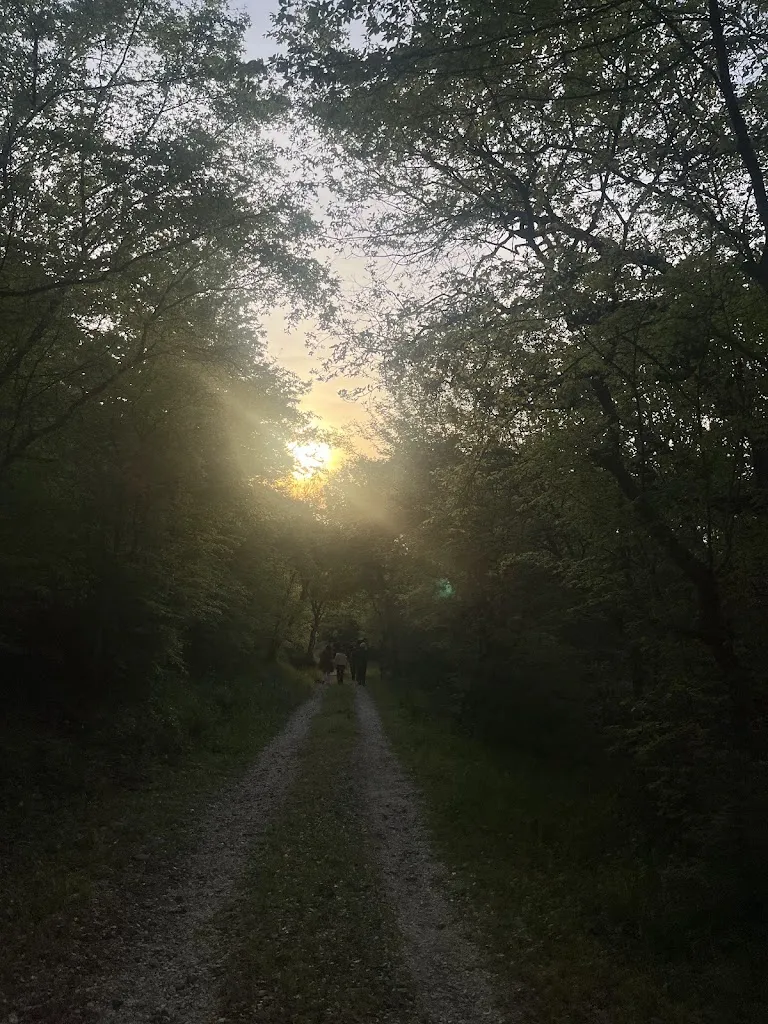 Annalisa Dattoli_PODUS - Mangio dunque sono_Garaguso_review