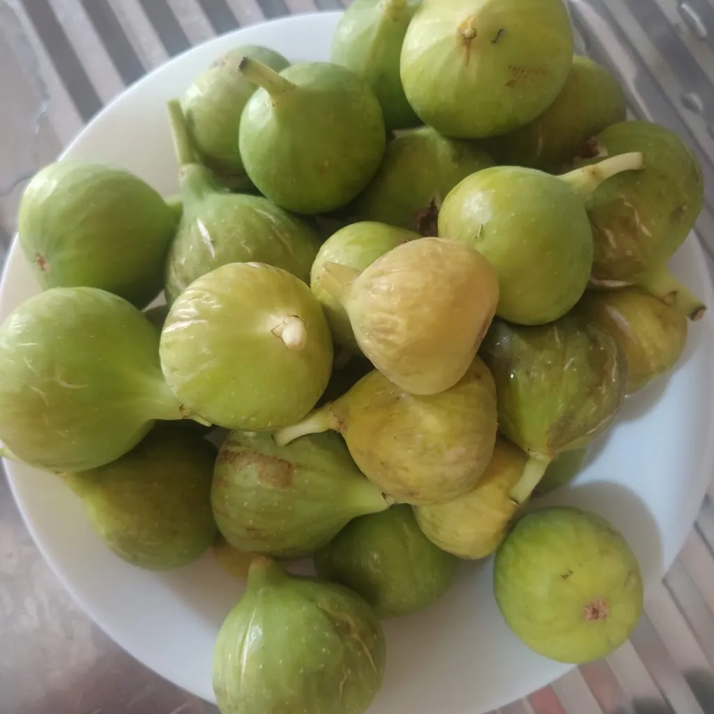 Menu_Bellavista_Ferrandina_image_4